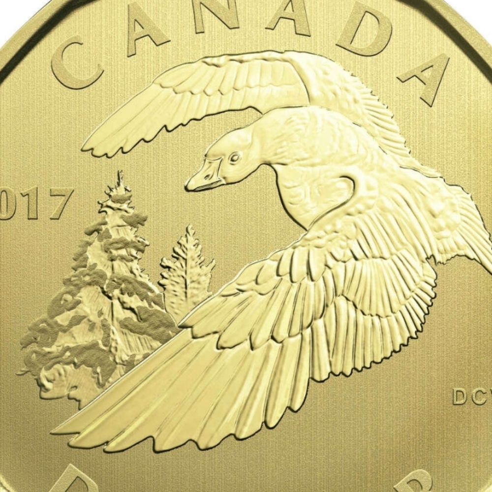 2017 RCM Specimen Set